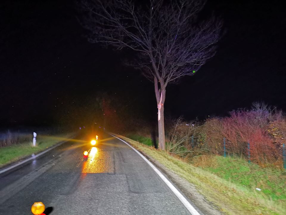 Mehr über den Artikel erfahren Baum auf Straße